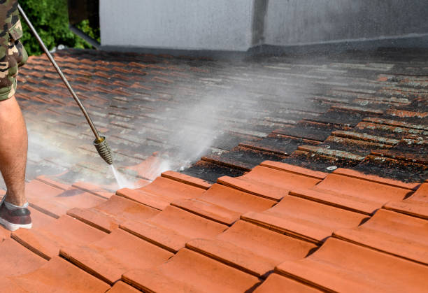Best Garage Pressure Washing  in Essexville, MI