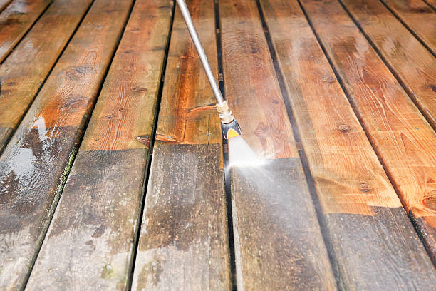 Best Roof Pressure Washing  in Essexville, MI