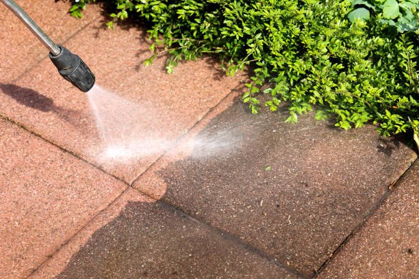 Best Pressure Washing Cost  in Essexville, MI